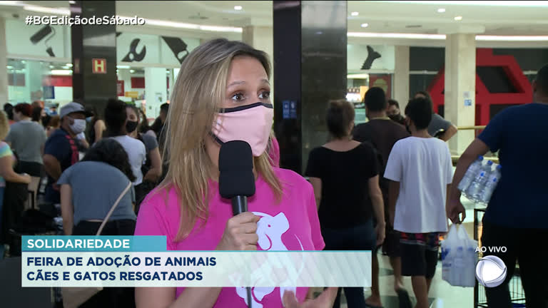Vídeo: Feira de adoção do Instituto Luísa Mell é realizada em Santos