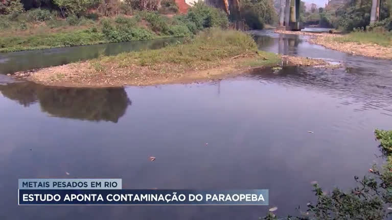 Vídeo: Estudo aponta contaminação de metais pesados no Rio Paraopeba