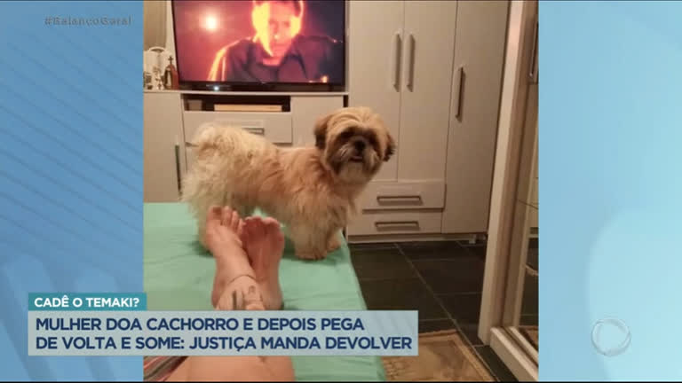 Vídeo: Briga pela guarda de um cachorrinho vai parar na justiça depois da antiga dona sumir com o animal