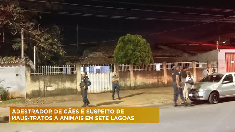 Vídeo: Polícia procura por adestrador suspeito de maus-tratos em Sete Lagoas