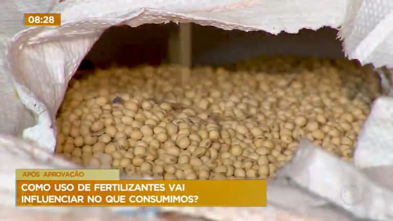 Vídeo: Saiba como o uso de fertilizantes pode influenciar no consumo de alimentos