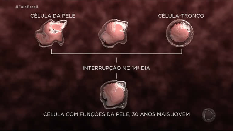 Vídeo: Cientistas conseguem rejuvenescer células da pele em 30 anos