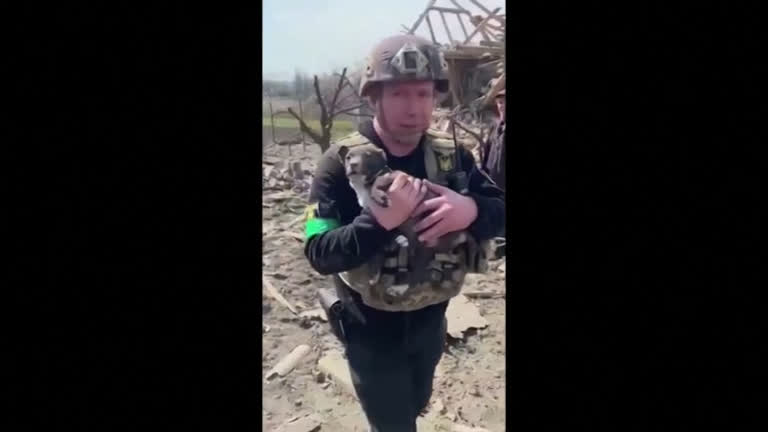 Vídeo: Bombeiros resgatam filhote de cachorro soterrado após bombardeio na Ucrânia