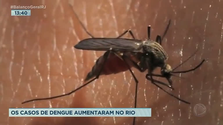 Vídeo: Casos de dengue crescem 139% no primeiro trimestre deste ano no Rio de Janeiro