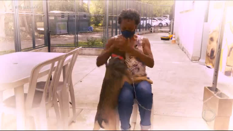 Vídeo: Espaço para adoção de pets reabre em São Paulo após dois anos