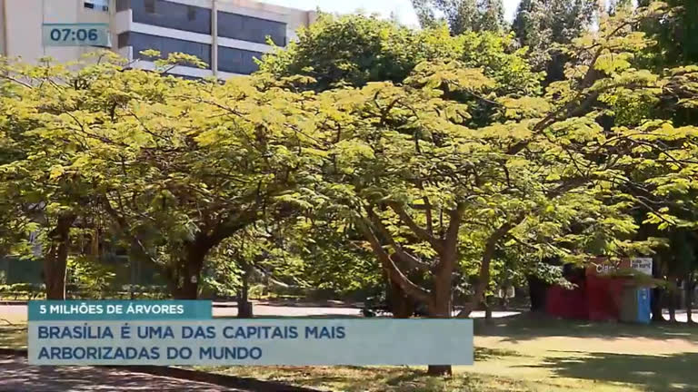 Vídeo: Brasília é uma das capitais mais arborizadas do mundo