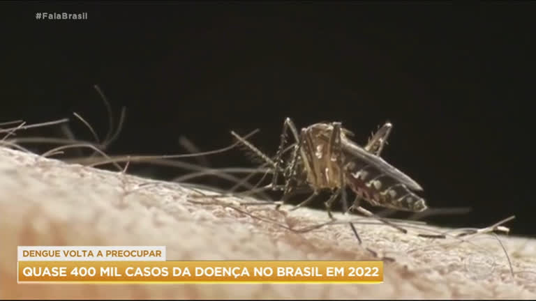 Vídeo: Casos de dengue chegam a quase 400 mil no Brasil em 2022