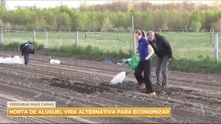 Vídeo: Aluguel de horta vira tendência na Alemanha