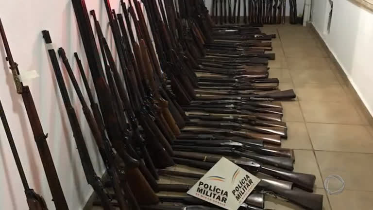 Vídeo: Quase 300 armas são apreendidas na casa de um idoso